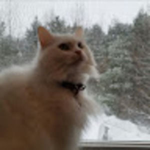 Meet your Posher, Alexander